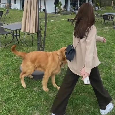 怪物
